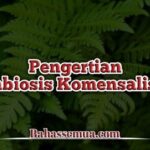 √ 9 Contoh Simbiosis Komensalisme dan Penjelasannya