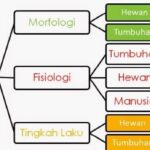 Pengertian Adaptasi – Dunia Pendidikan