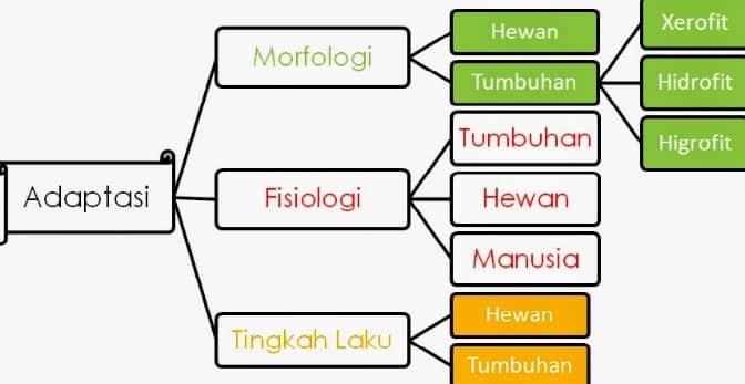 Pengertian Adaptasi – Dunia Pendidikan